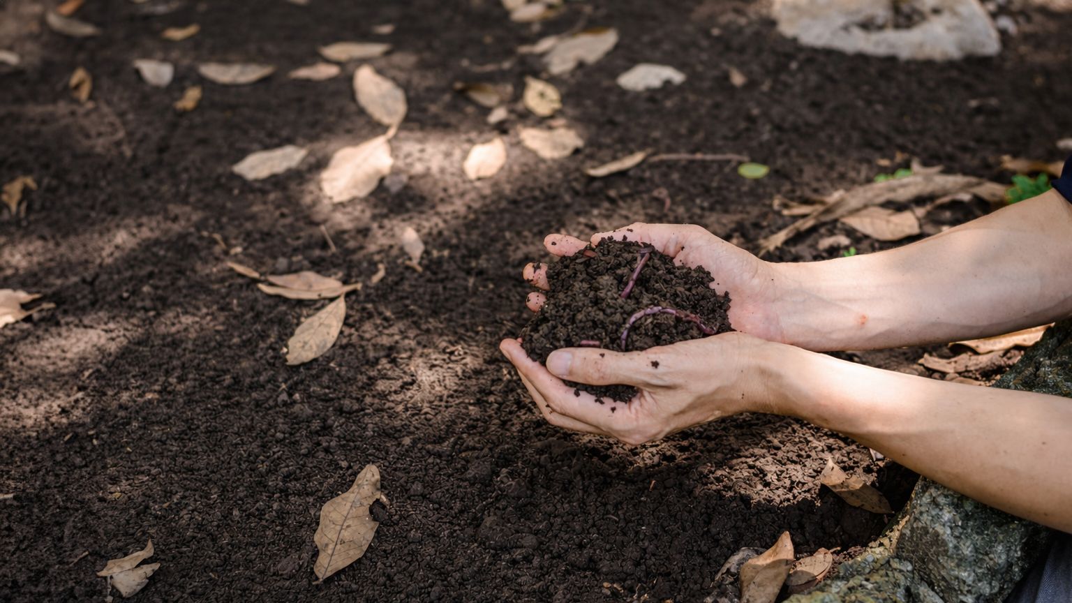 土を包む代表の手